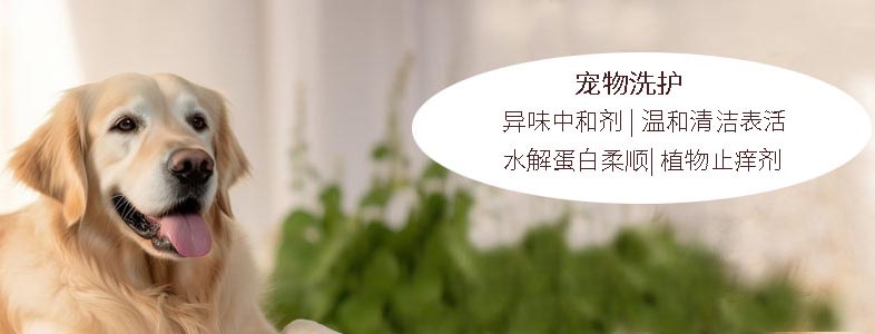 废气除臭剂,垃圾除臭剂,异味中和剂,大豆乙基硫酸乙酯吗啉,FORESTALL