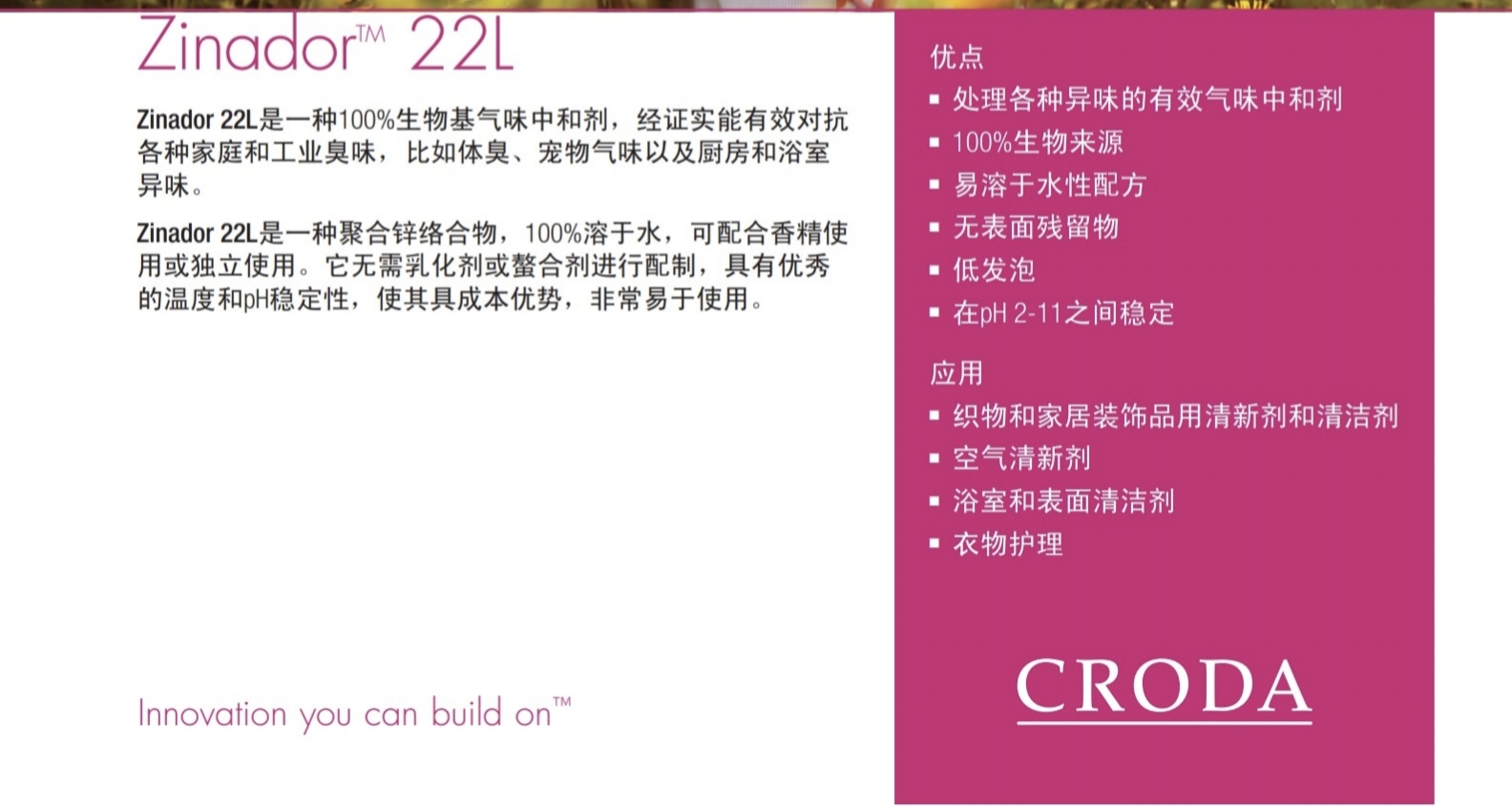 22L第一页 删除Itaconix-01.jpg